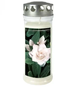 Ewa Kerzen, bougies de Noël et bougies de l'Avent Bougie Funeraire Gardenia, 21,5 Cm